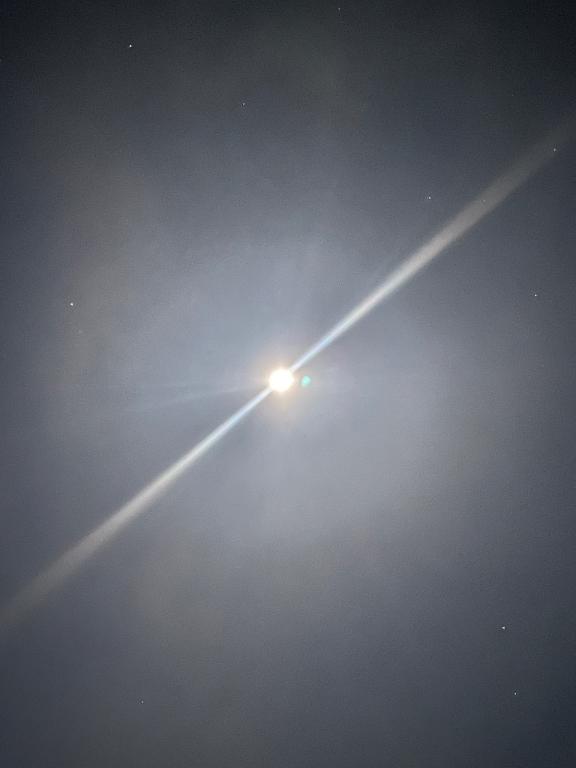 今年も残りわずか…｜の写メ日記