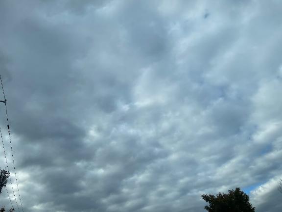 おはようございます️｜の写メ日記