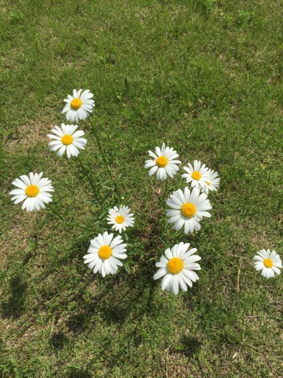 お久しぶりです♪