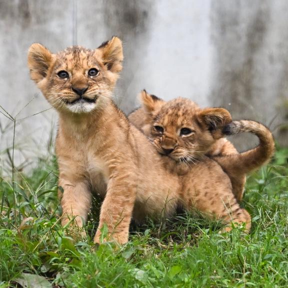おはようございます☀︎｜の写メ日記