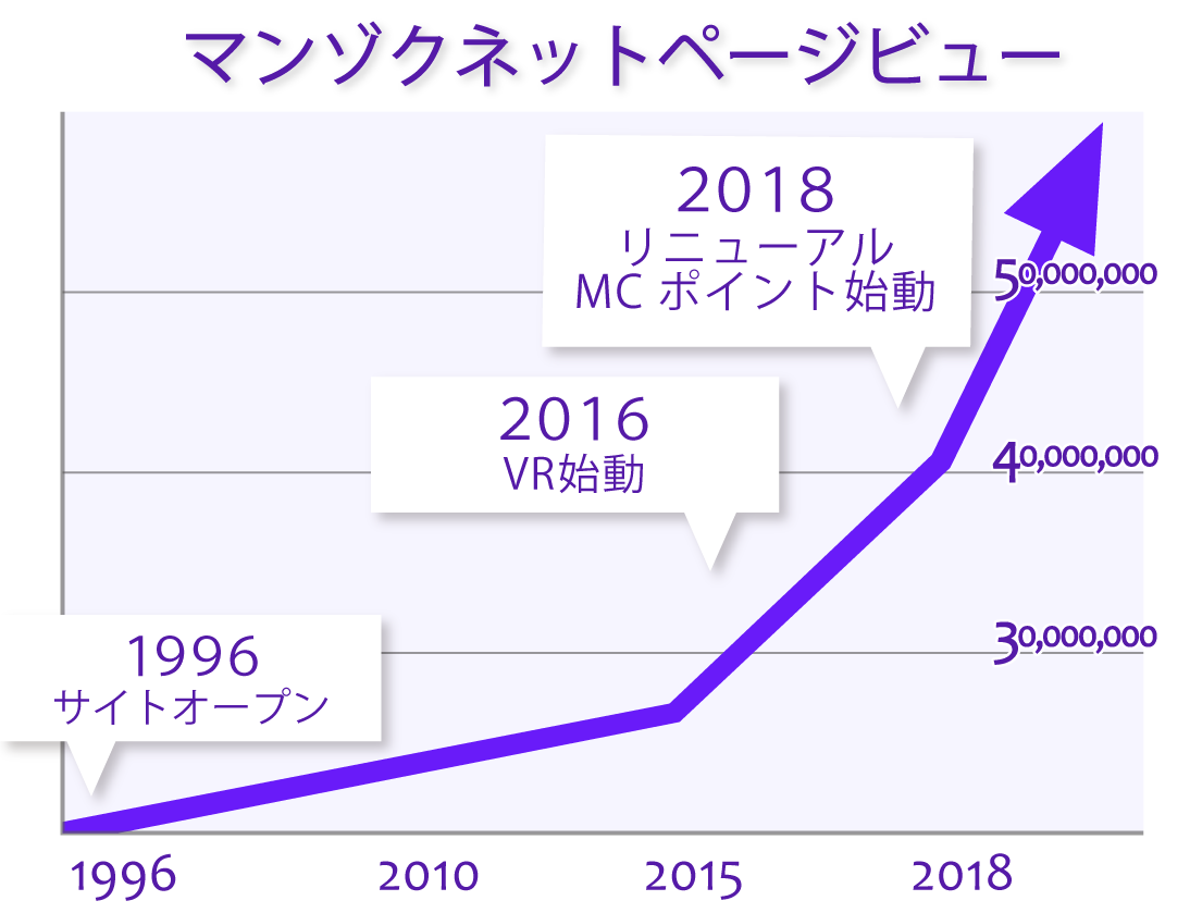 ページビューグラフ